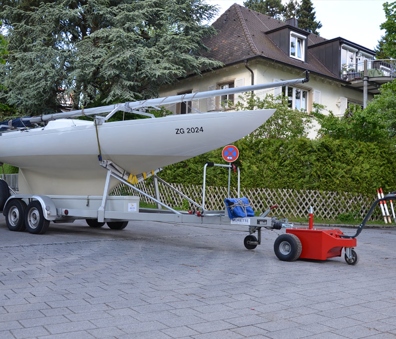 Multi-Mover Tjan Elektroschlepper